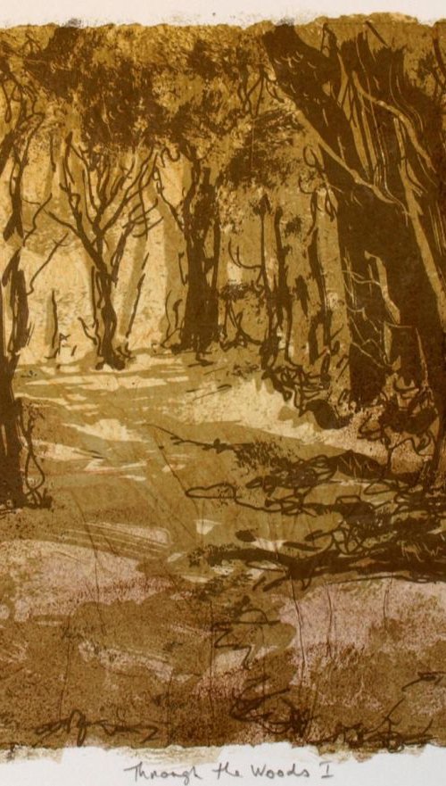 Through the Woods 1 by Aidan Flanagan Irish Landscapes