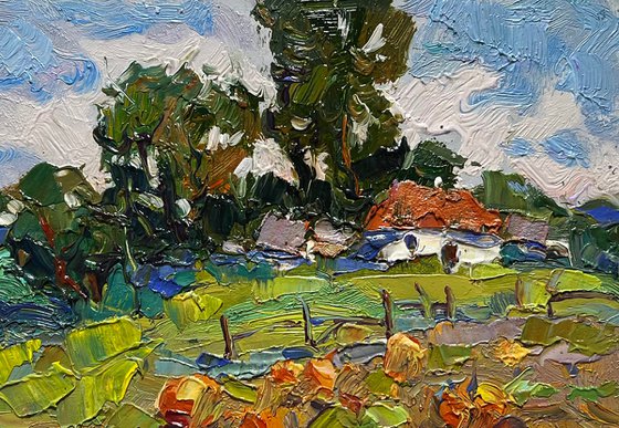 There are pumpkins growing