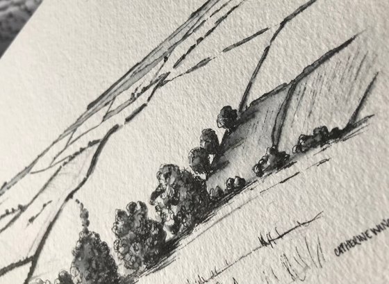 Winter Trees in Pen and Ink - Lincolnshire Landscape