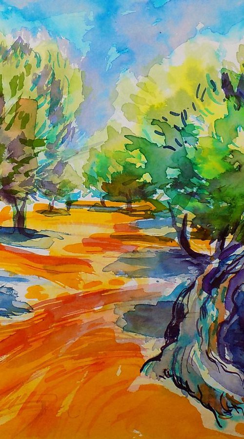 Deep shadows in olive orchard by Maja Grecic