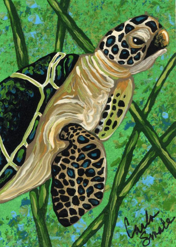 ACEO ATC Original Painting Wildlife Sea Turtle Ocean Art-Carla Smale