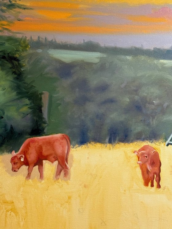 Two Calves at Dawn