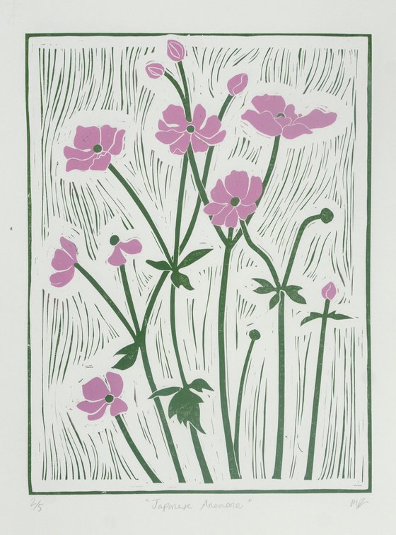 Japanese Anemone