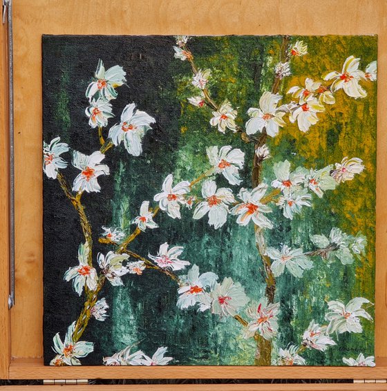 Cherries in bloom