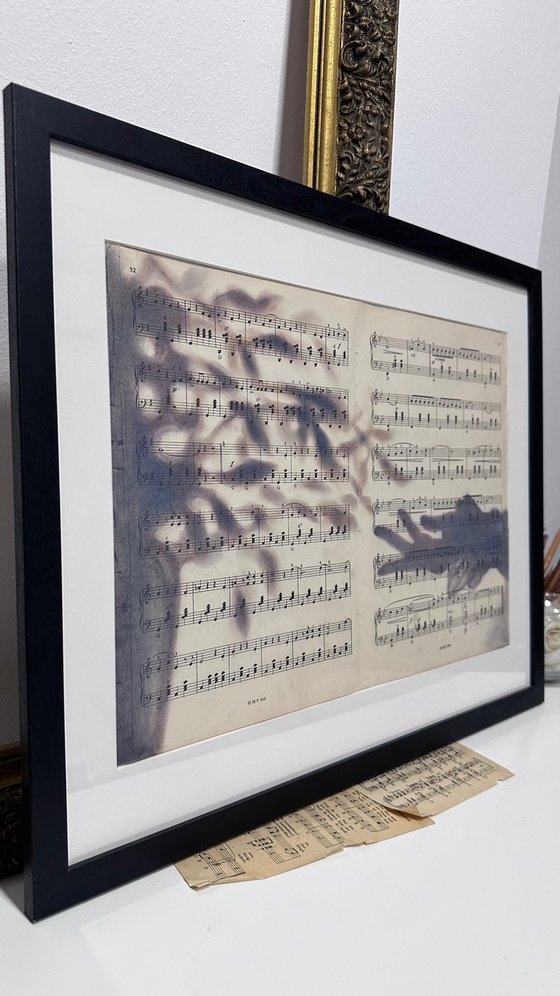 Silhouette Hand And Leaves on Music Sheet