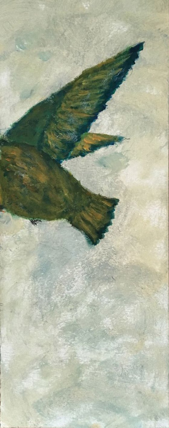 Study of hummingbird V c