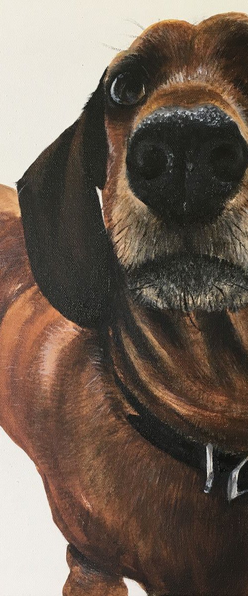Hello Sausage ! by Amanda Lakin Art