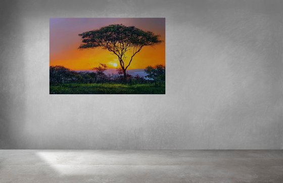 " Africa - Acacia tree " Special Price !!!