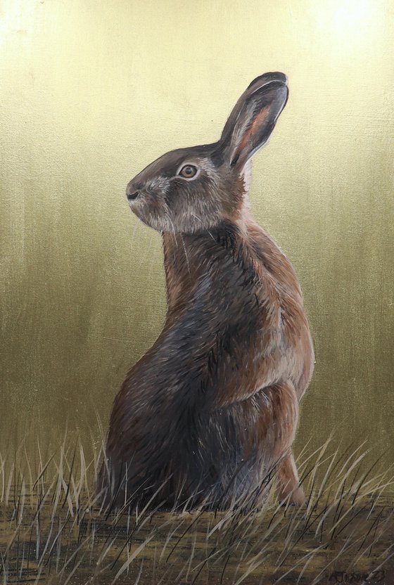 Golden Hare - Portrait I