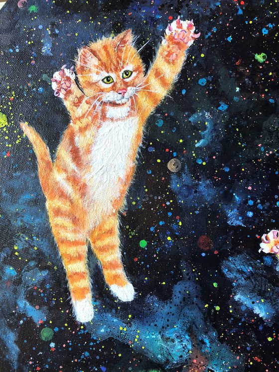 Ginger kittens in space