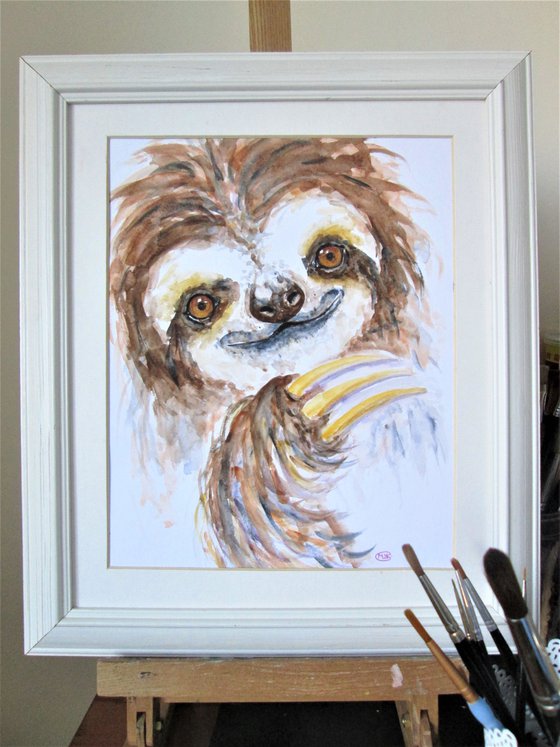 Three toed Sloth portrait