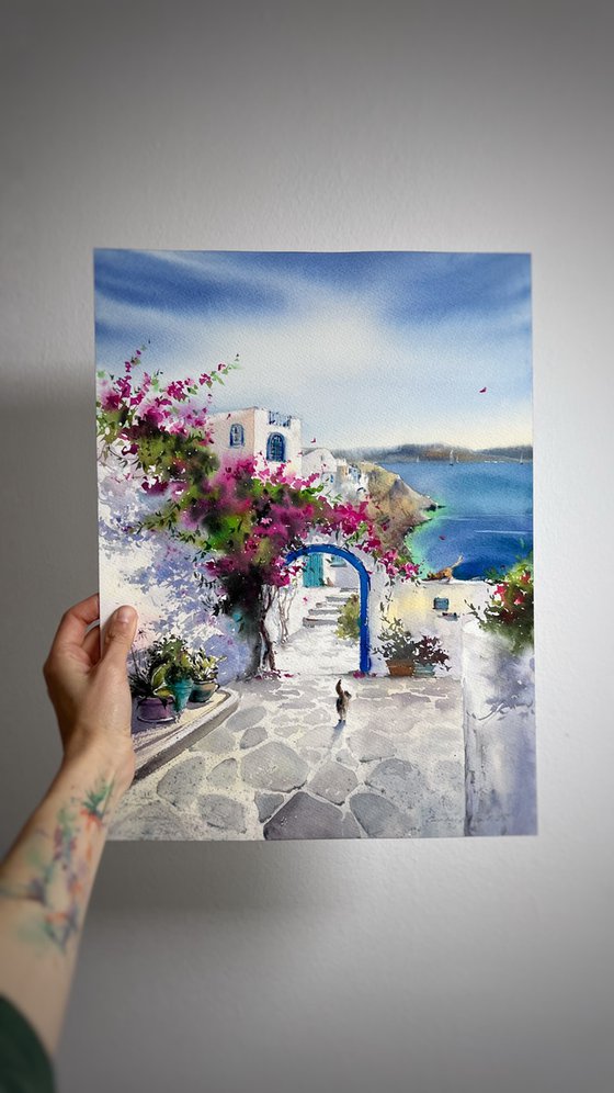 Greek Dreams of Bougainvillea