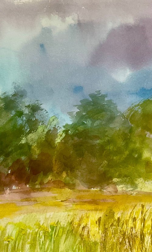 In the Summer flow by Samantha Adams