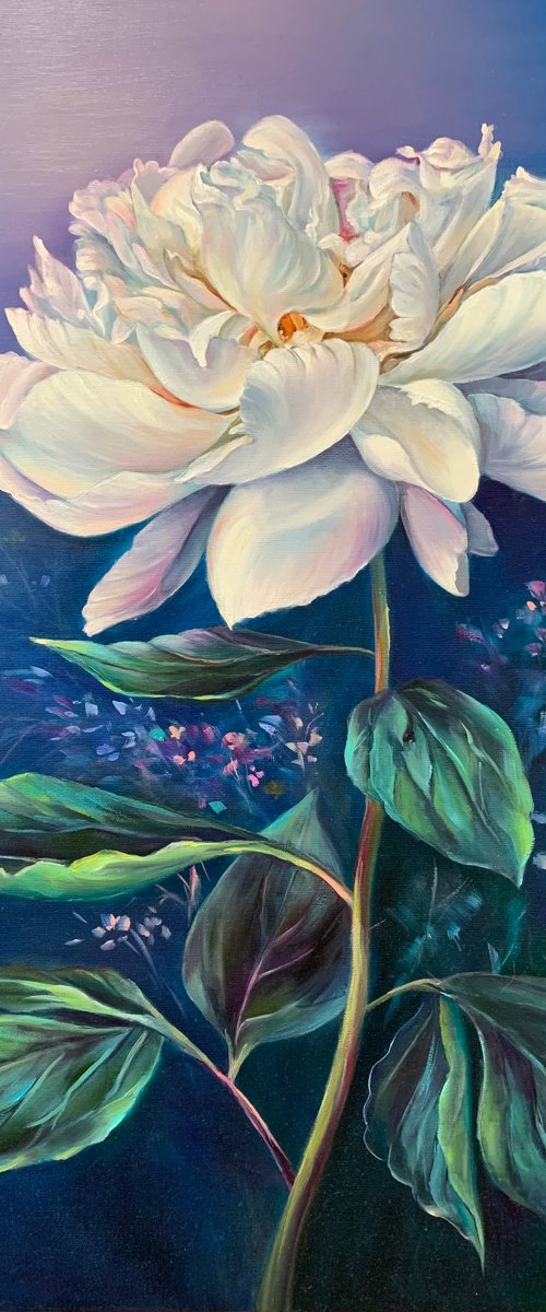 Peony by Olena Hontar