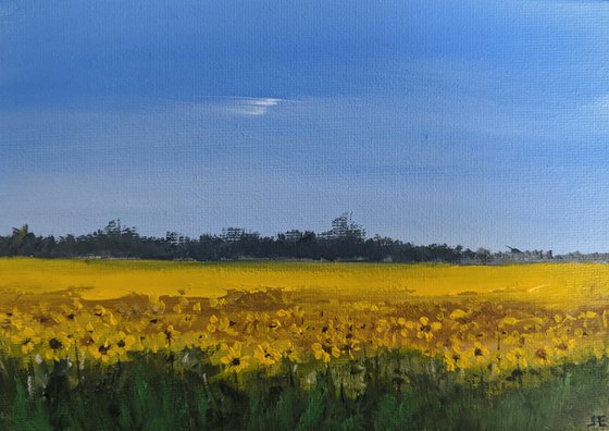 Miniature Sunflowers Landscape