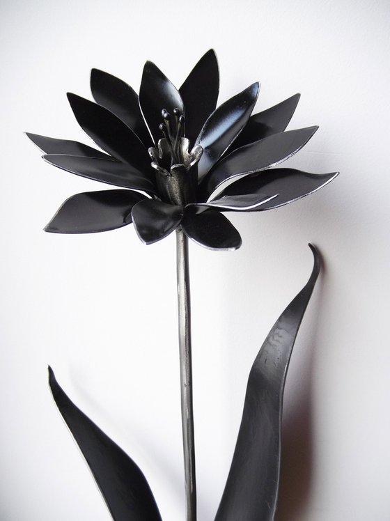 Black Flower