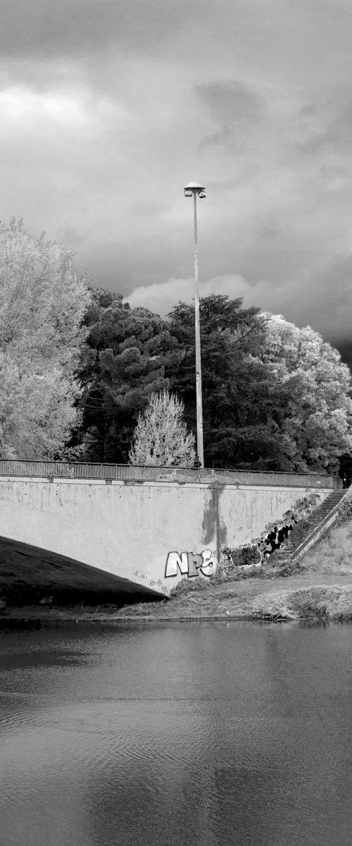 #73 Florence Nature - bridge by Mattia Paoli