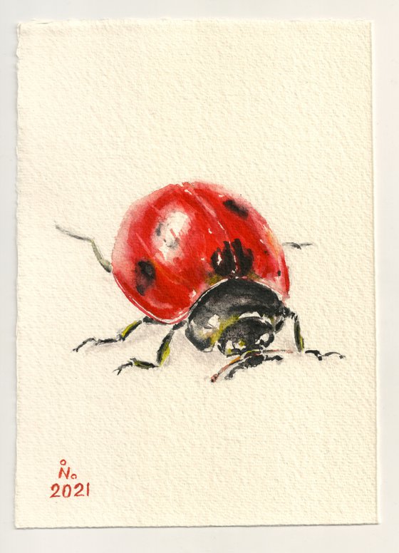 Coccinelle