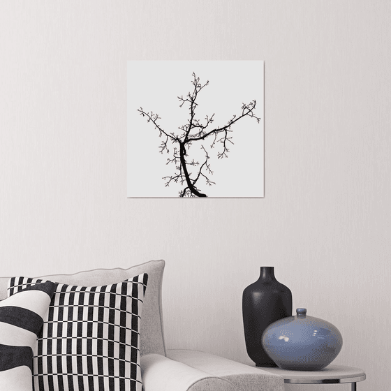Baum 2