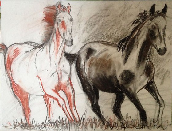 red and black horse