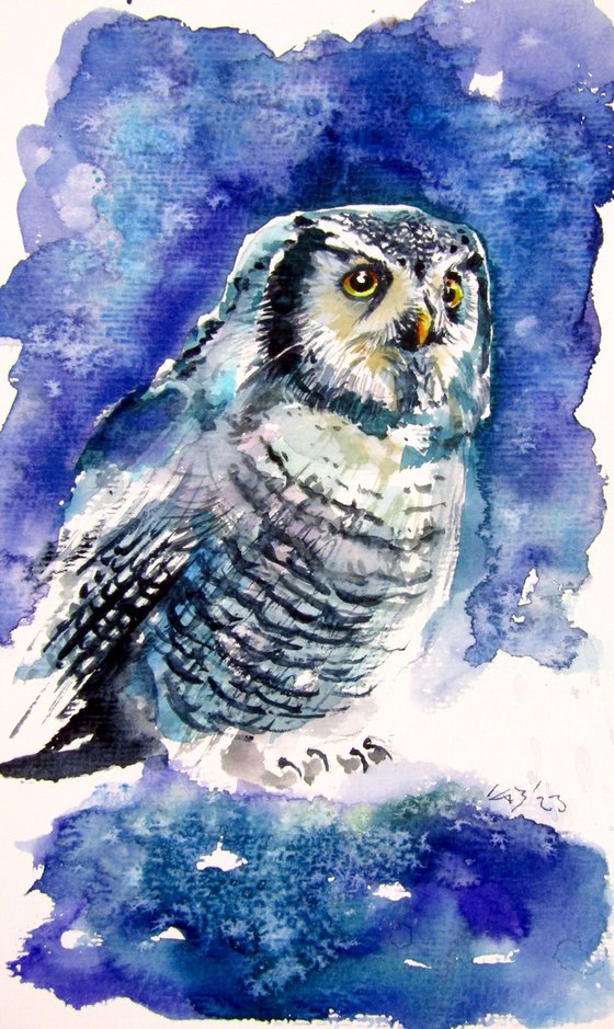 Owl collection