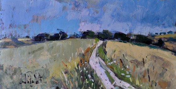 The Path at Cissbury