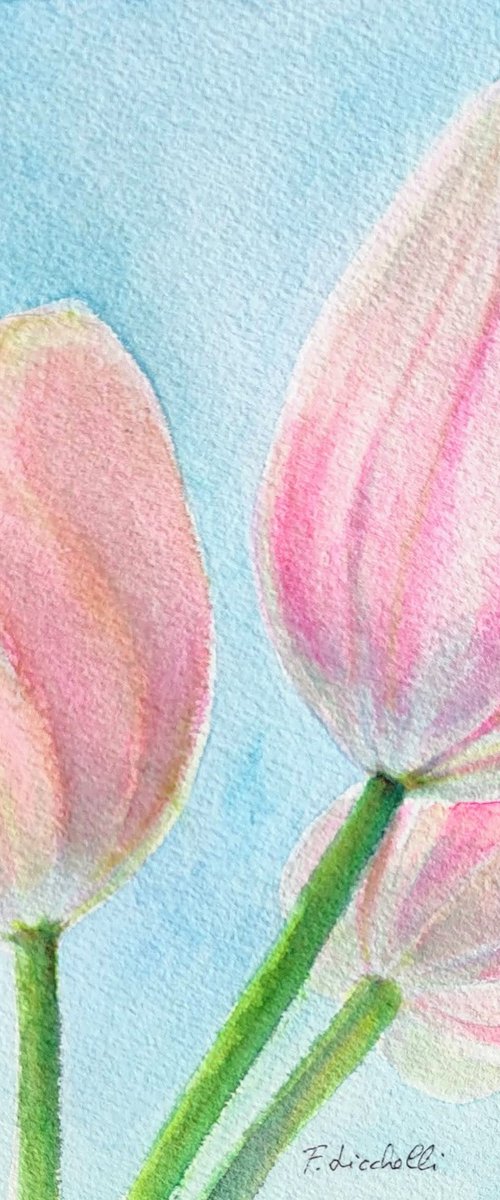 Pink tulips by Francesca Licchelli