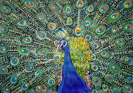 Peacock