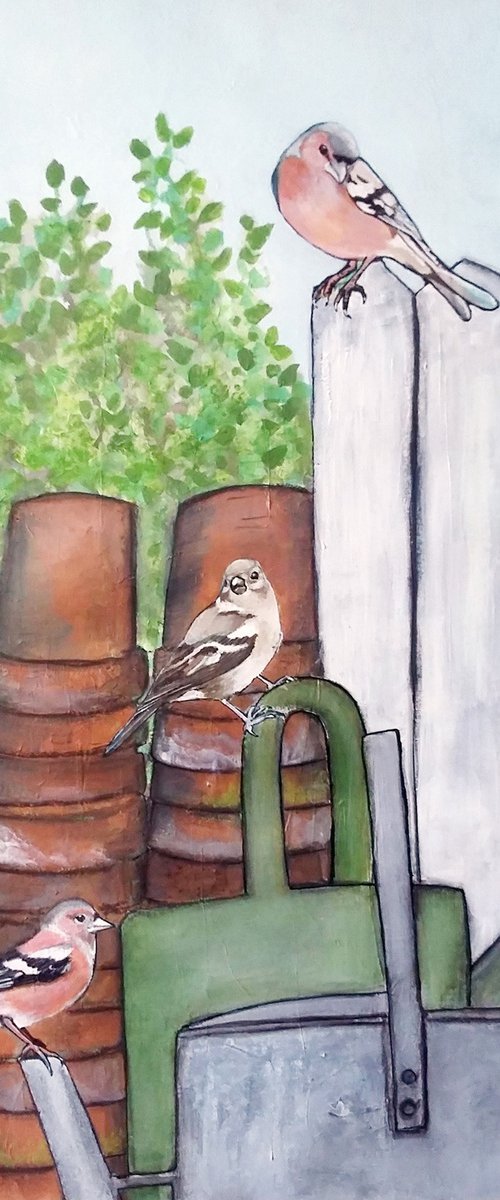 Chaffinches 1,2,3 by Carolynne Coulson