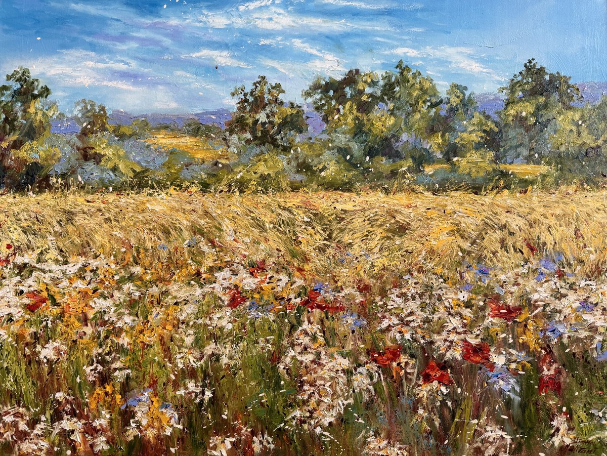 Impressionistic Landscape Oil Painting By Diana Malivani, 31 X 24, Blooming Meadows, Original Artwork