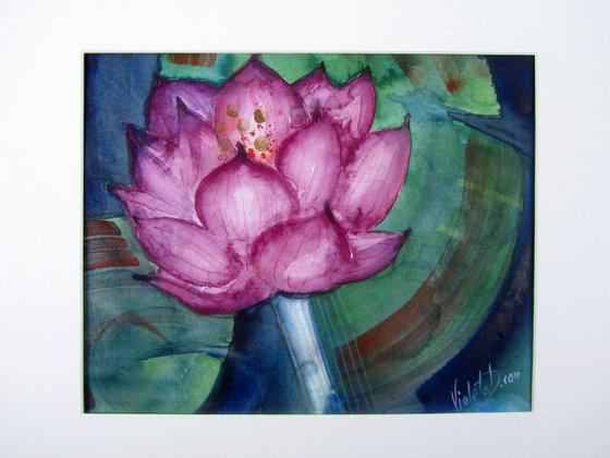 Magenta Pink Lotus Flower