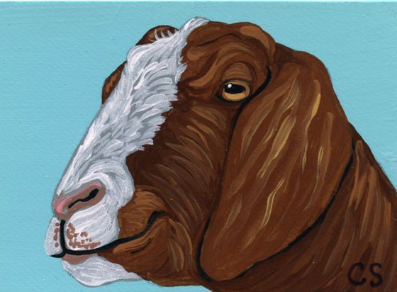 ACEO ATC Original Miniature Painting Boer Goat Farmyard Art-Carla Smale