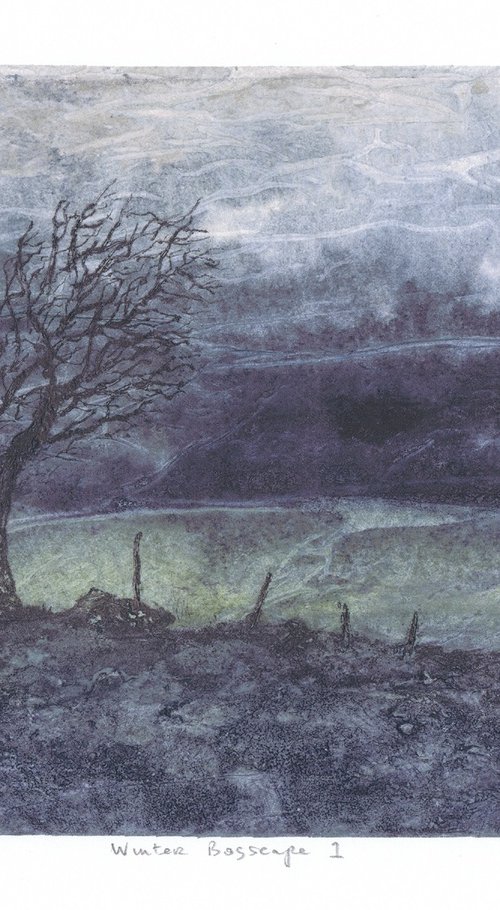 Winter Bogscape 1 -  Ireland by Aidan Flanagan Irish Landscapes