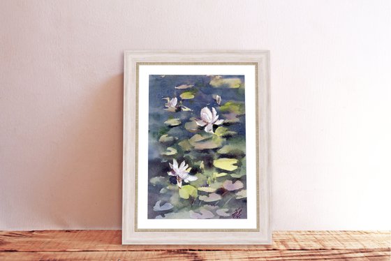 Water lilies, River flowers, White on dark blue