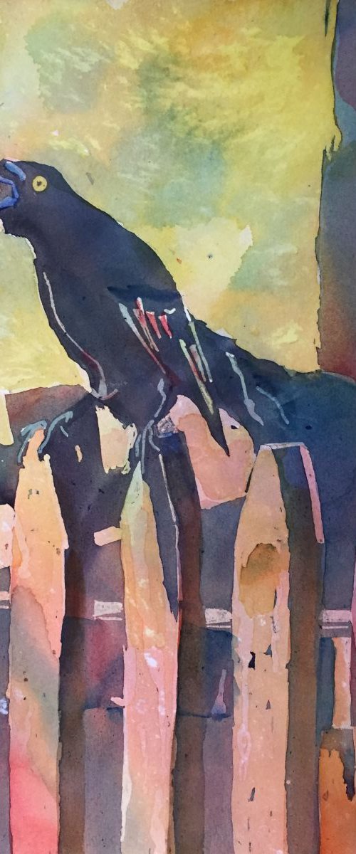 Blackbird Calling by Bronwen Jones