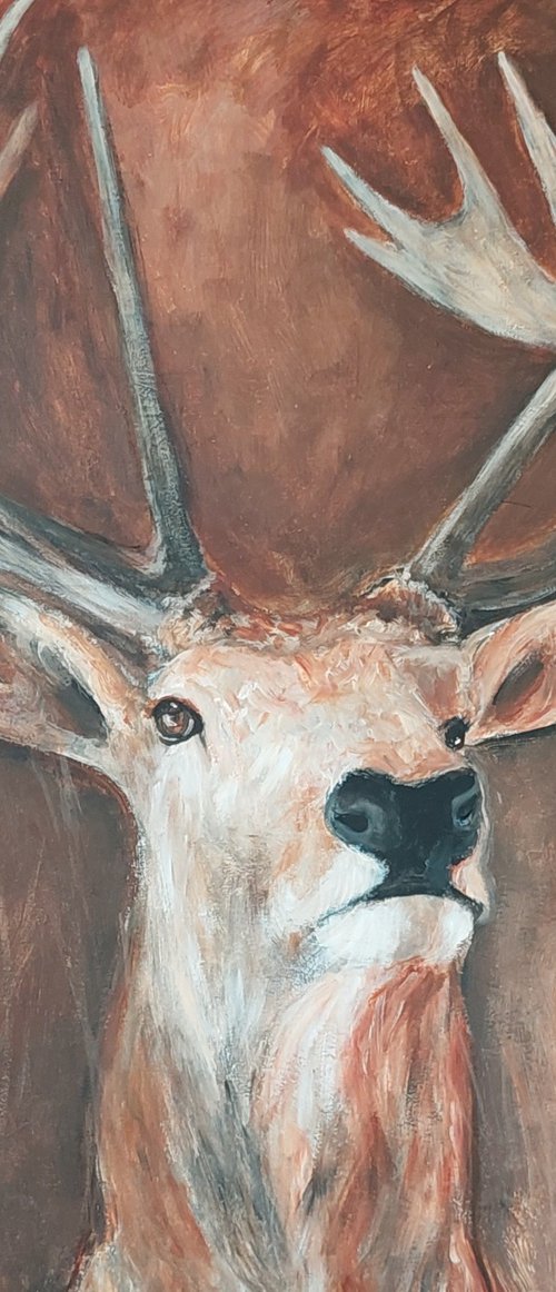 Deer classic by Els Driesen