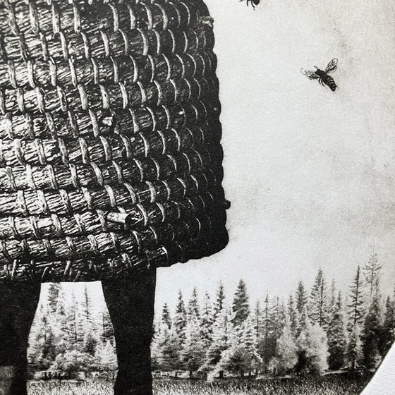 Hive No.5