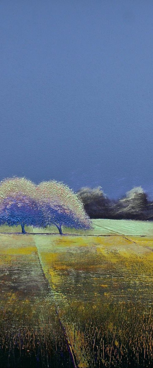 2 Trees Summers End by Simon Jones