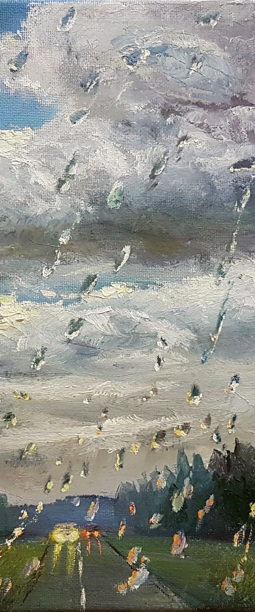 Summer Rain by Vladimir Jarmolo