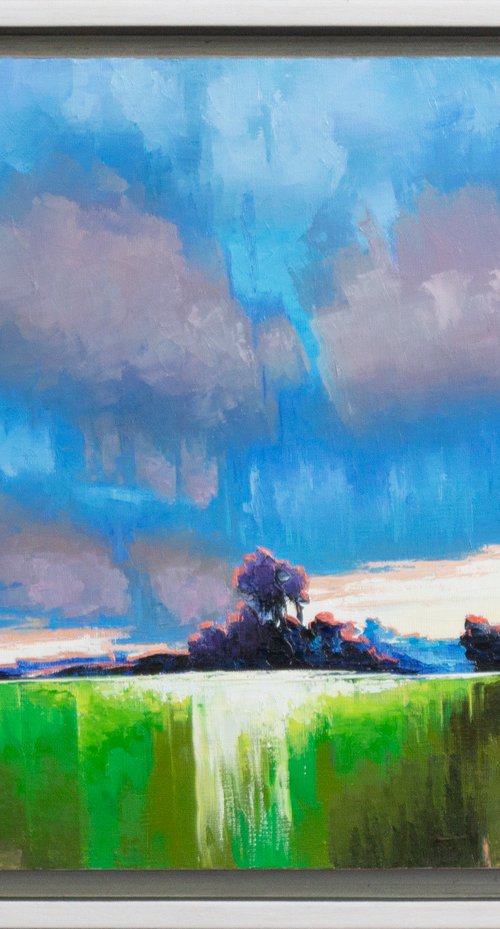 RAINY WEATHER by Oleksii Vylusk