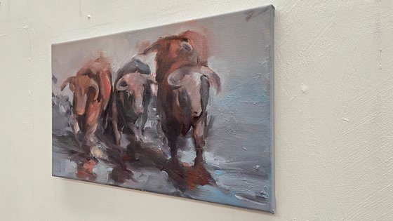 Torrent I (study)