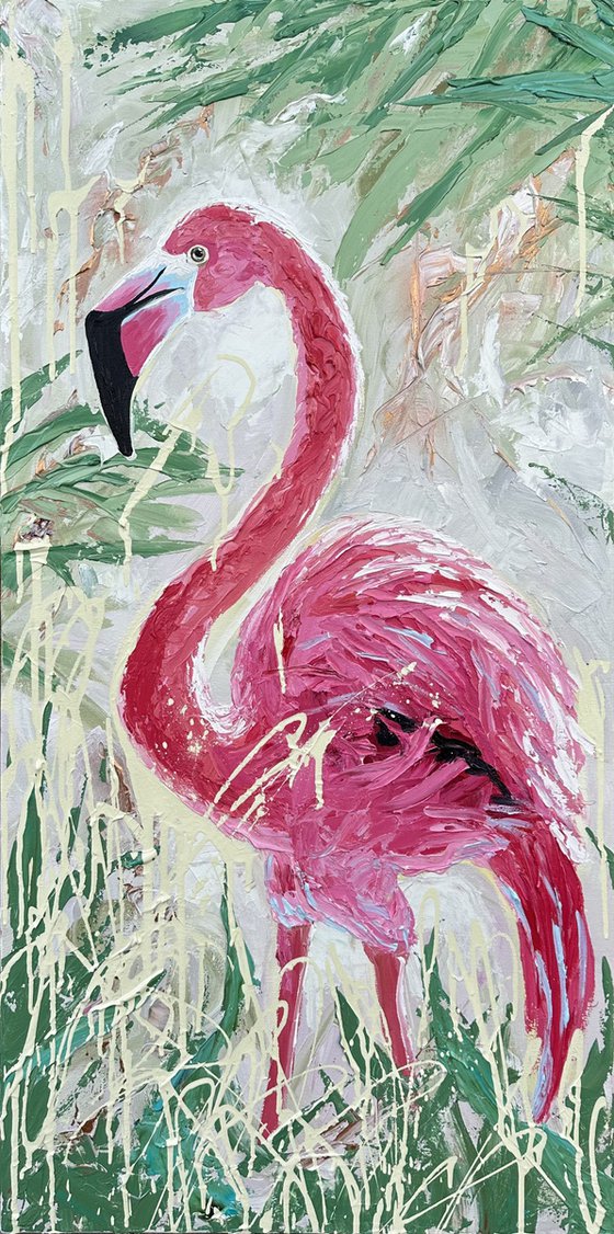 Flamingo