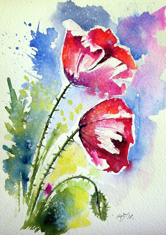 Poppy flowers