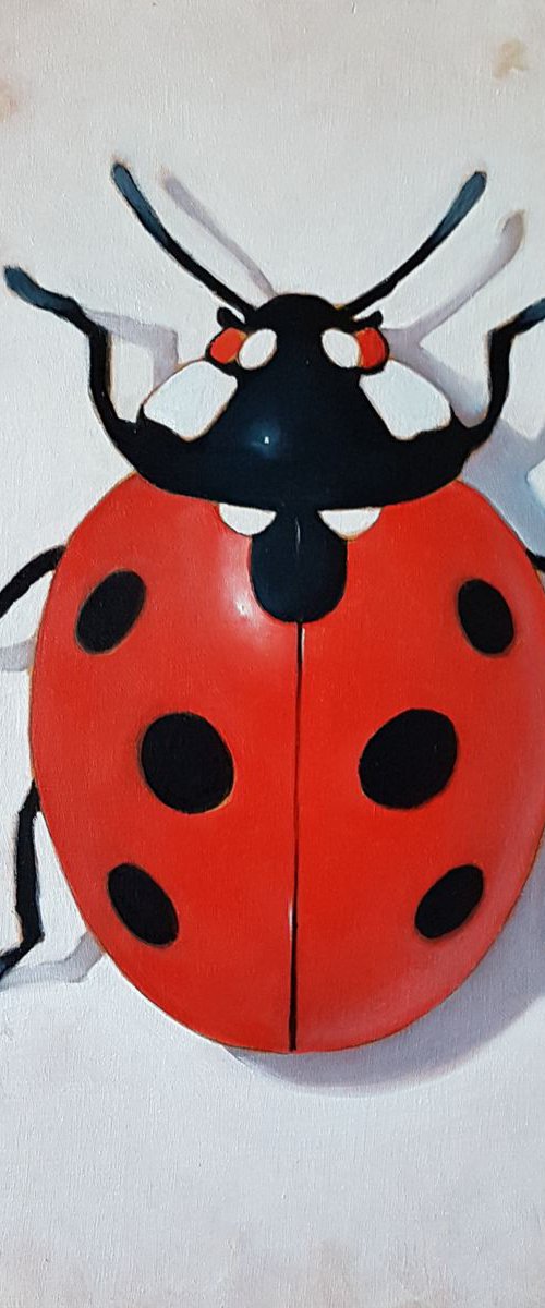 ,,Ladybug,, by VADIM KOVALEV