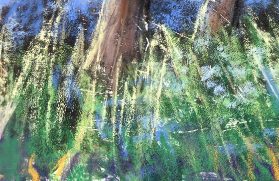 Sea of Bluebells
