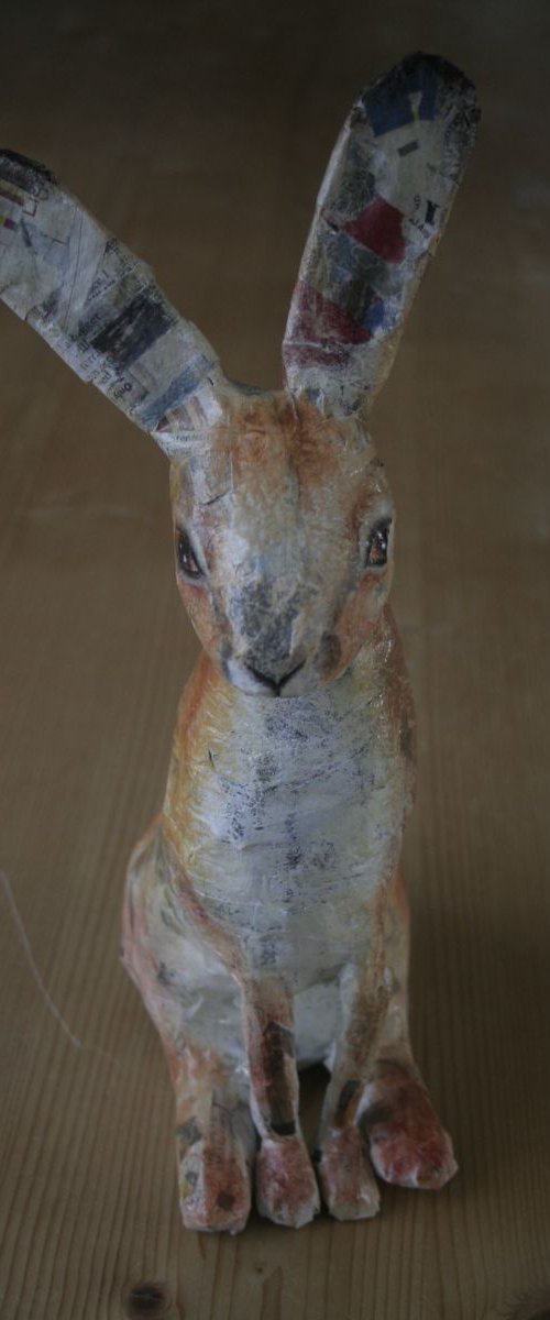 Hare by Victoria Lucy Williams