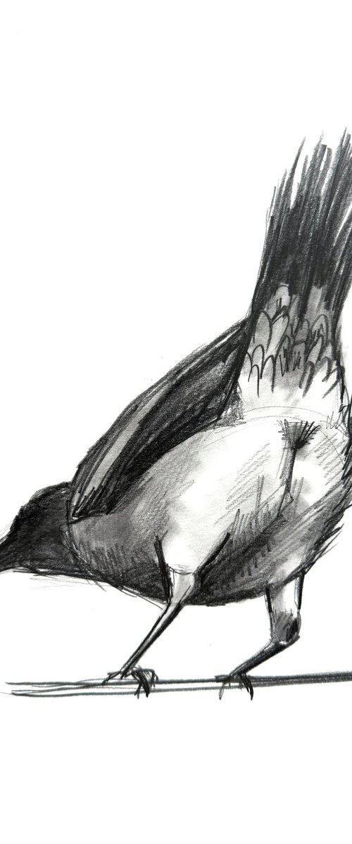 One Crow Adventures II by Anna Lyashenko