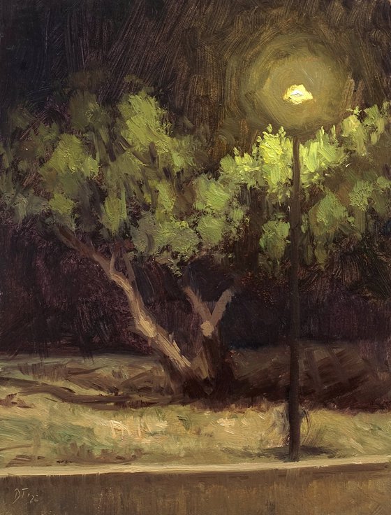 Night in the park
