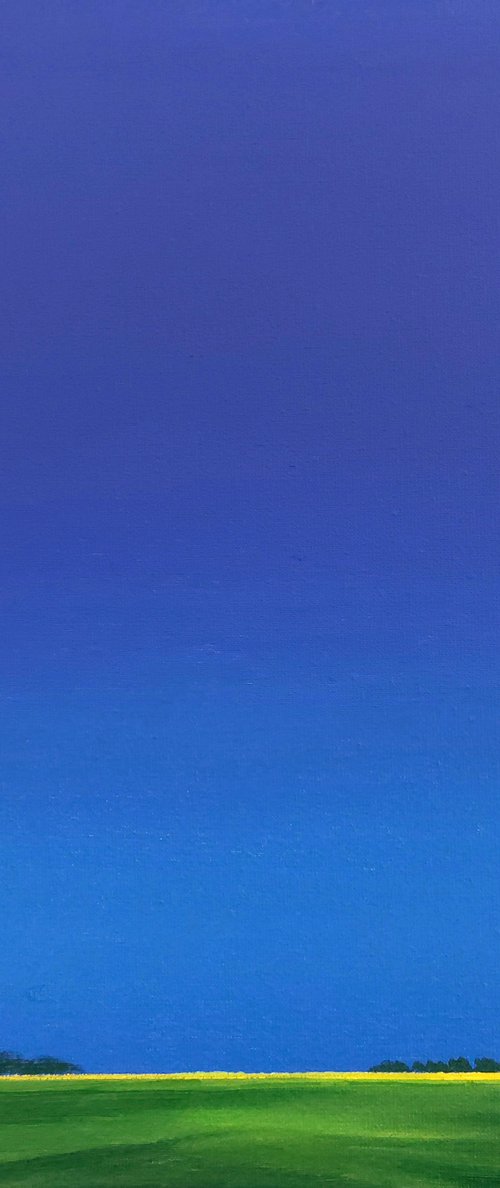 Red Roofs, Blue Sky, Green Fields (3) by Nelly van Nieuwenhuijzen