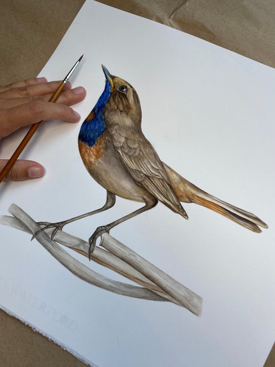 The Power of Intention